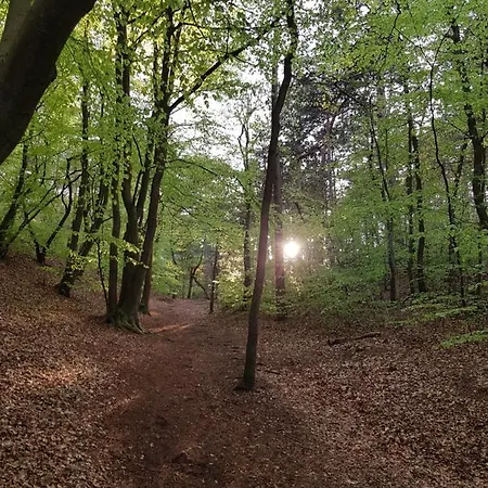 Duinhuis * Schoorl